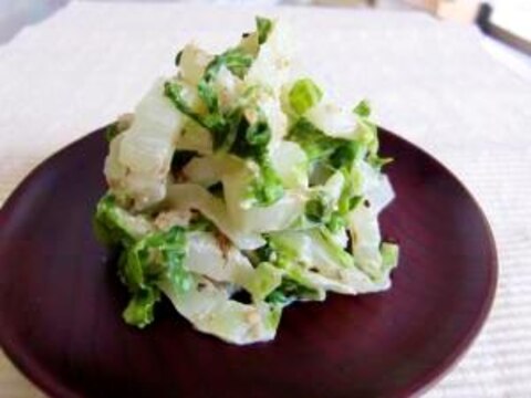 冬場のおいしい白菜で☆白菜サラダ